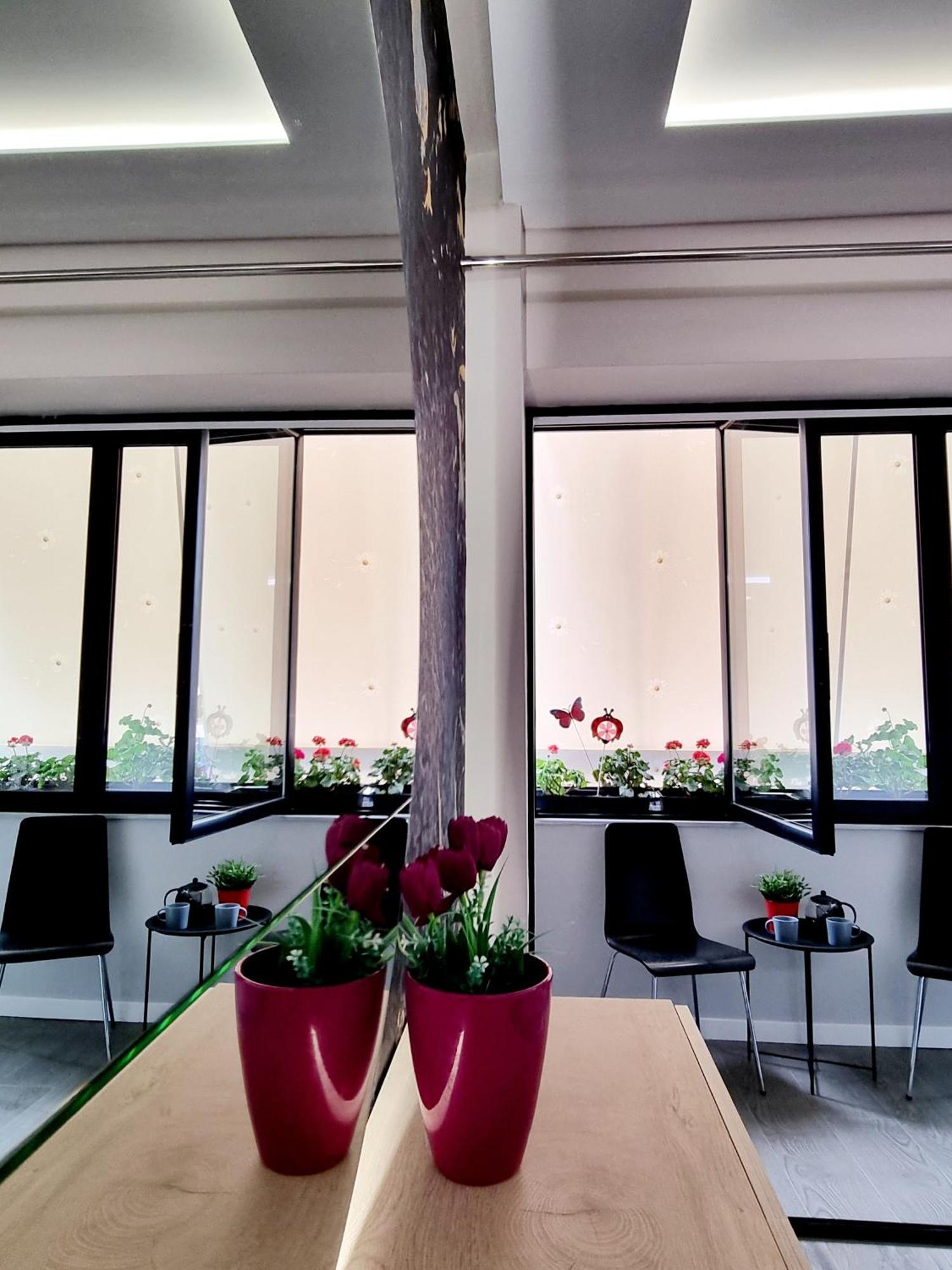 Apartament Lovely New Near Tirana's Artificial Tirana